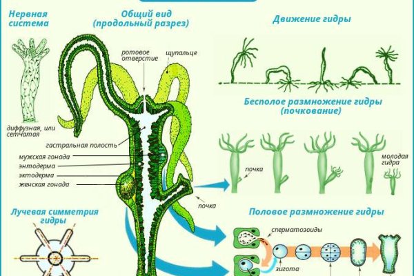 Ссылка кракен kraken014 com